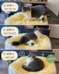 Load image into Gallery viewer, Tail Furniture Cozy Cottage Plaid Pet Bed for Cats & Small Dogs