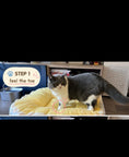 Load image into Gallery viewer, Tail Furniture Cozy Cottage Plaid Pet Bed for Cats & Small Dogs