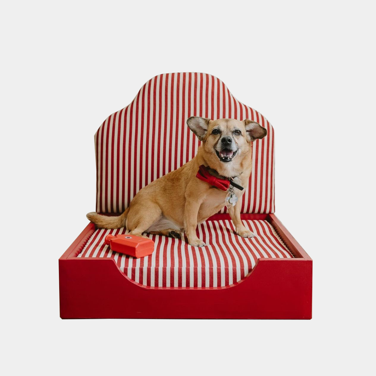 Cushion Bed