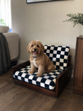 Load image into Gallery viewer, Tail Furniture Navy Checkered Plush Pet Sofa Bed – Luxury Wooden Dog & Cat Lounge Chair