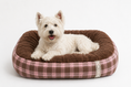 Load image into Gallery viewer, Tail Furniture Pink Mocha Cloud Bed