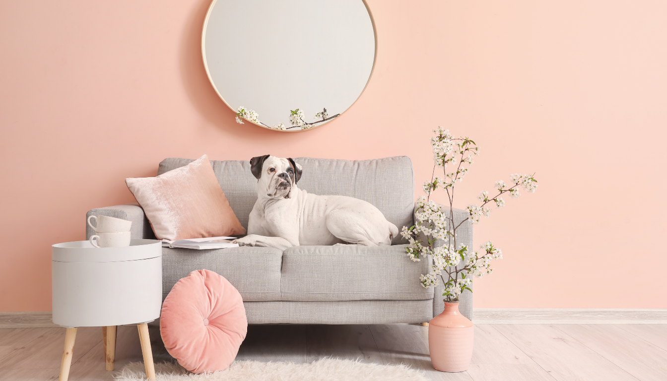 Can a sofa-style pet bed actually improve your pet’s sense of security?
