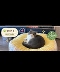 Load image into Gallery viewer, Tail Furniture Cozy Cottage Plaid Pet Bed for Cats & Small Dogs
