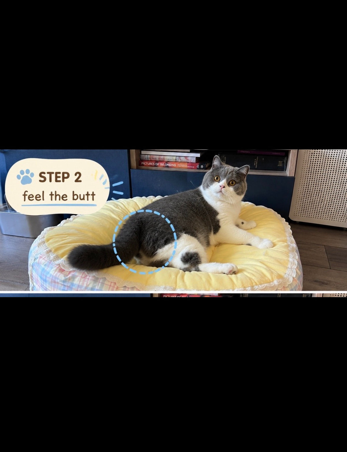 Tail Furniture Cozy Cottage Plaid Pet Bed for Cats & Small Dogs