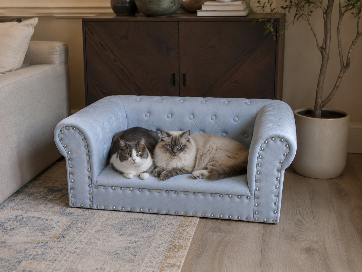 Tail Furniture Chesterfield Luxe Pet Sofa Bed – Plush Orthopedic Dog & Cat Couch
