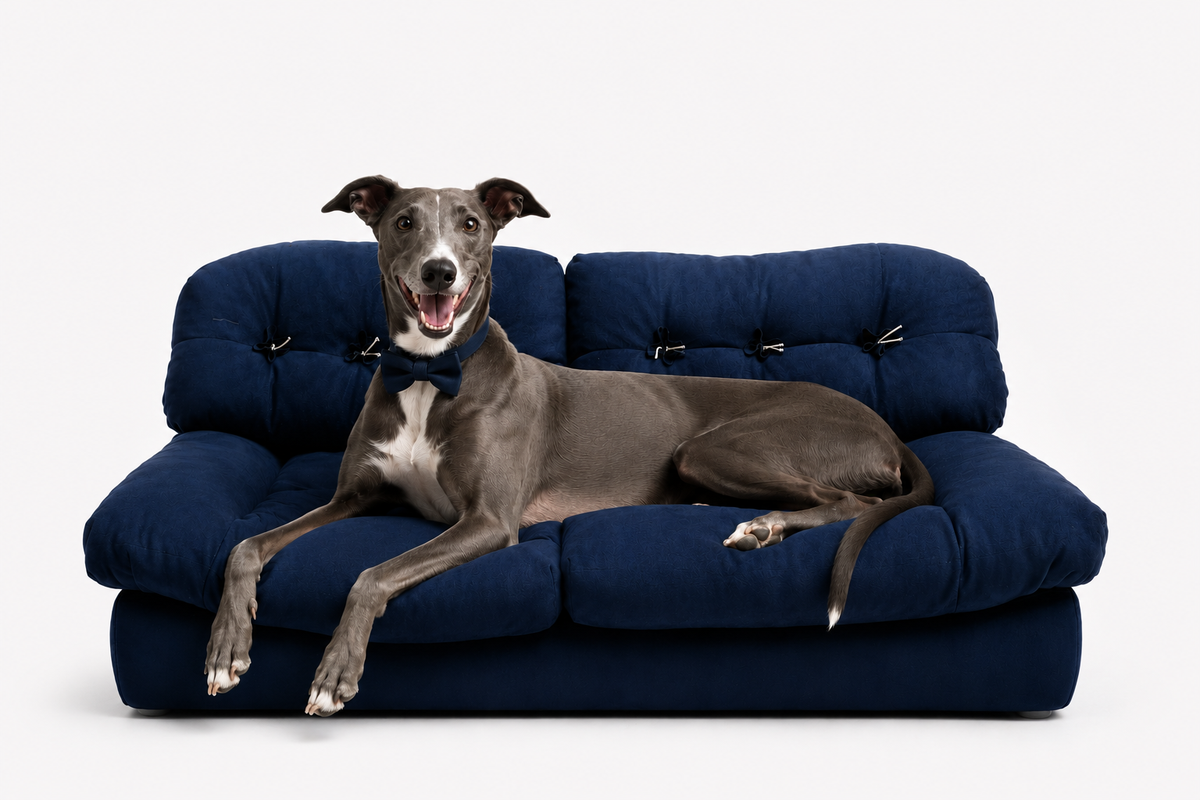 Tail Furniture Luxury Plush Pet Sofa Bed