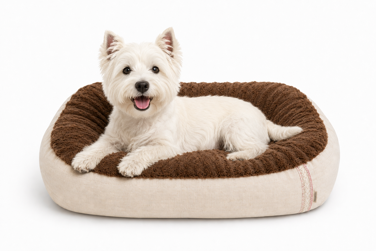Tail Furniture Mocha Cream Cloud Pet Bed